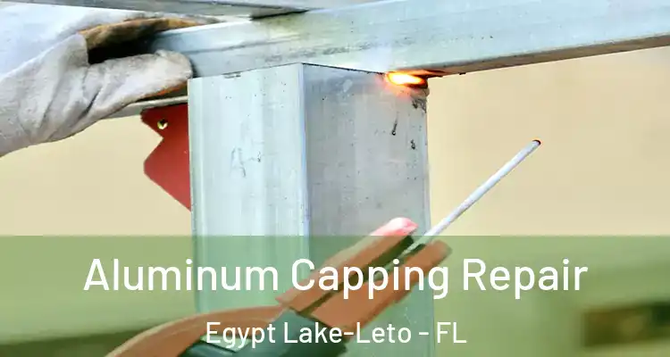  Aluminum Capping Repair Egypt Lake-Leto - FL