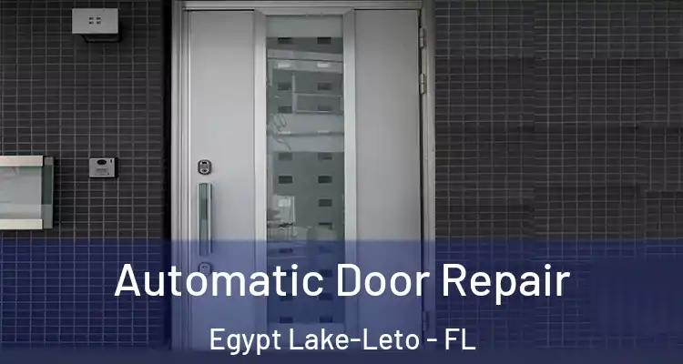  Automatic Door Repair Egypt Lake-Leto - FL