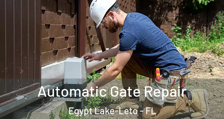  Automatic Gate Repair Egypt Lake-Leto - FL