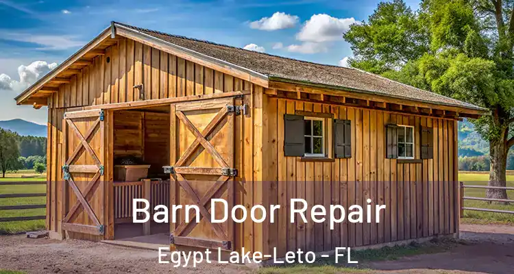  Barn Door Repair Egypt Lake-Leto - FL