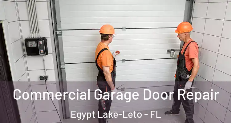  Commercial Garage Door Repair Egypt Lake-Leto - FL