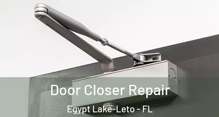  Door Closer Repair Egypt Lake-Leto - FL