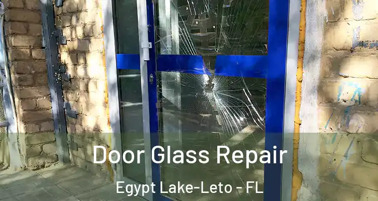  Door Glass Repair Egypt Lake-Leto - FL
