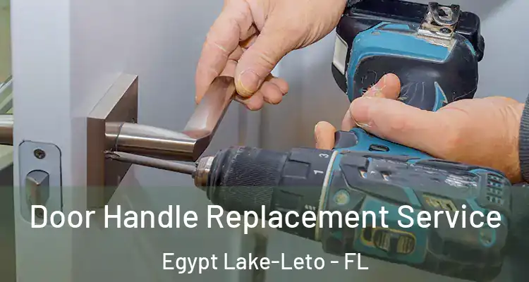  Door Handle Replacement Service Egypt Lake-Leto - FL