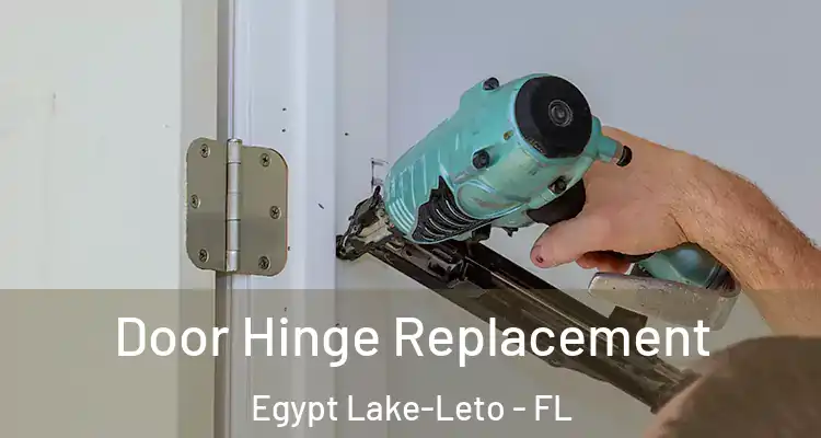  Door Hinge Replacement Egypt Lake-Leto - FL