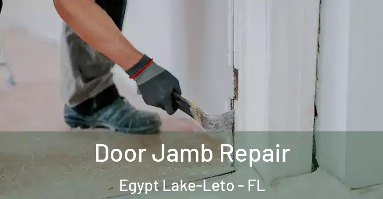  Door Jamb Repair Egypt Lake-Leto - FL
