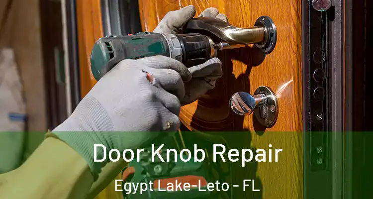  Door Knob Repair Egypt Lake-Leto - FL