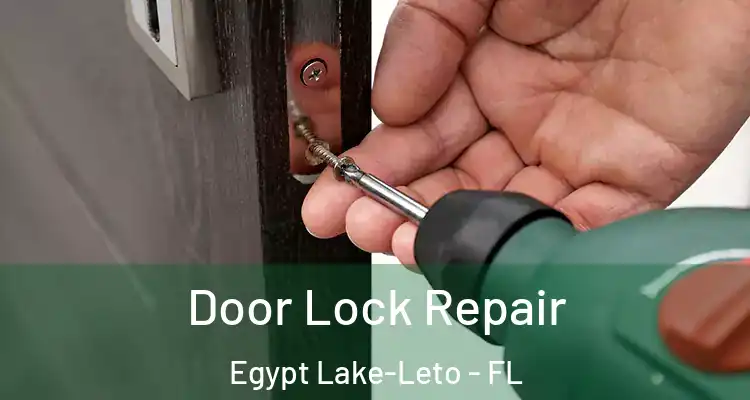  Door Lock Repair Egypt Lake-Leto - FL