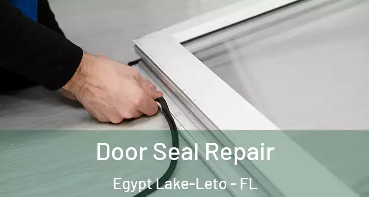  Door Seal Repair Egypt Lake-Leto - FL