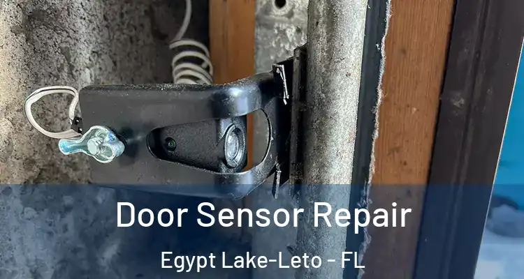  Door Sensor Repair Egypt Lake-Leto - FL