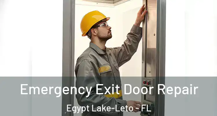  Emergency Exit Door Repair Egypt Lake-Leto - FL