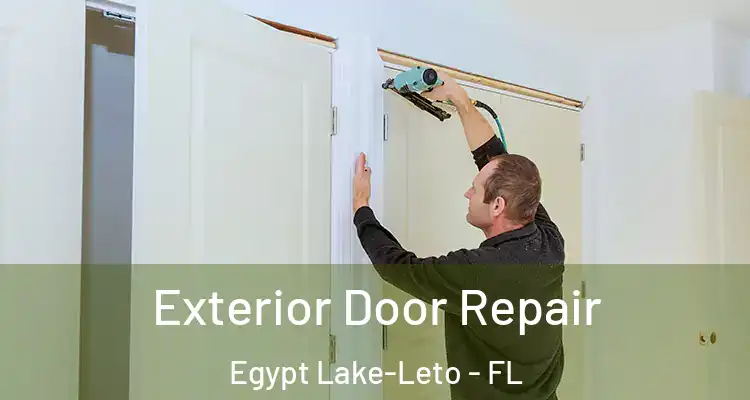  Exterior Door Repair Egypt Lake-Leto - FL