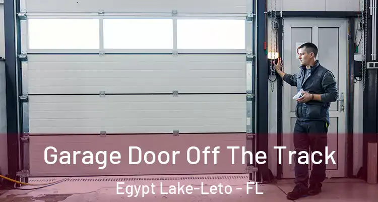  Garage Door Off The Track Egypt Lake-Leto - FL