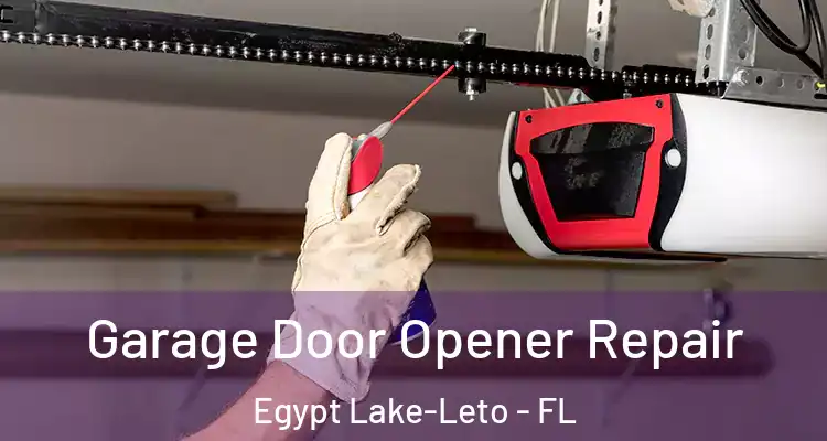  Garage Door Opener Repair Egypt Lake-Leto - FL