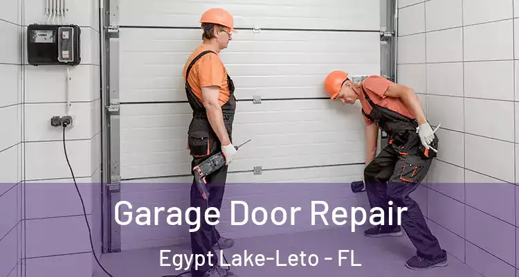  Garage Door Repair Egypt Lake-Leto - FL