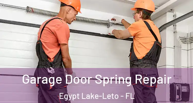  Garage Door Spring Repair Egypt Lake-Leto - FL