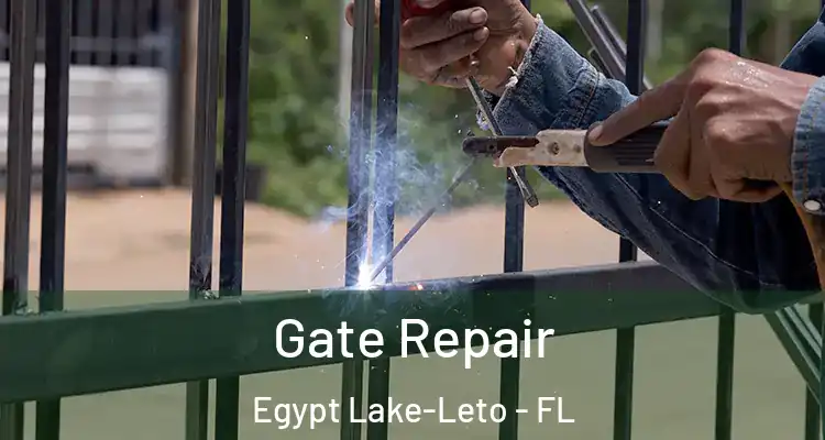  Gate Repair Egypt Lake-Leto - FL