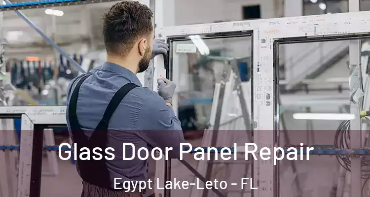  Glass Door Panel Repair Egypt Lake-Leto - FL
