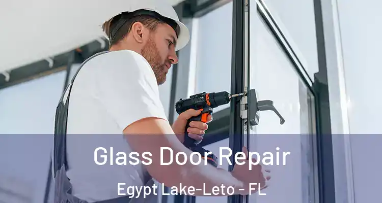  Glass Door Repair Egypt Lake-Leto - FL