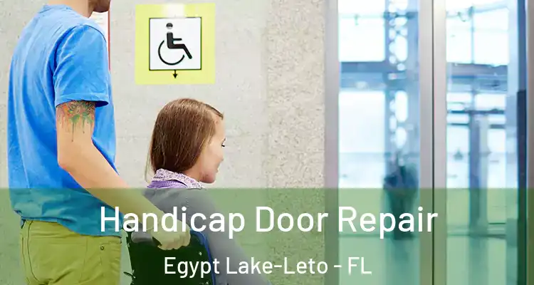  Handicap Door Repair Egypt Lake-Leto - FL