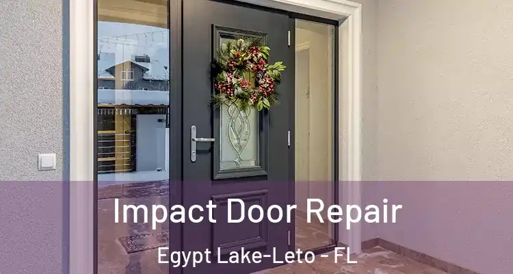  Impact Door Repair Egypt Lake-Leto - FL