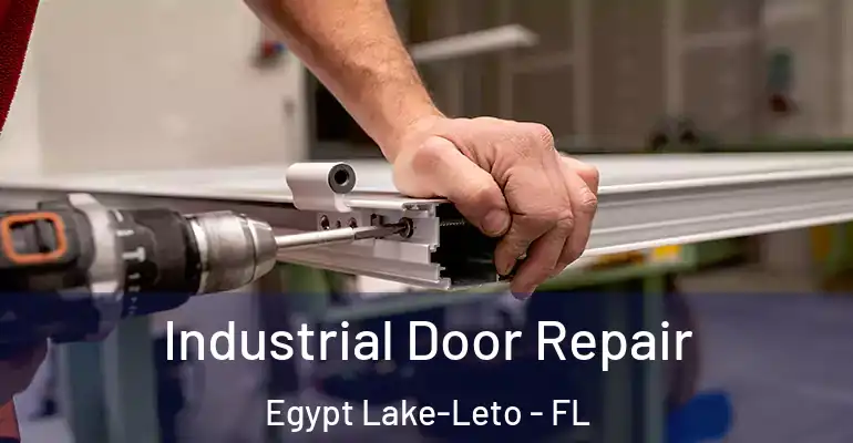  Industrial Door Repair Egypt Lake-Leto - FL