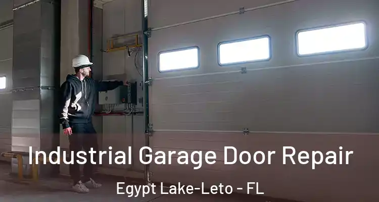  Industrial Garage Door Repair Egypt Lake-Leto - FL