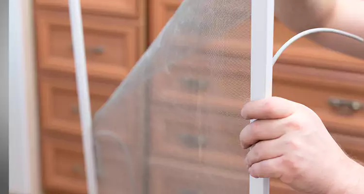 Privacy Mesh Screen Door Installation in Egypt Lake-Leto, FL
