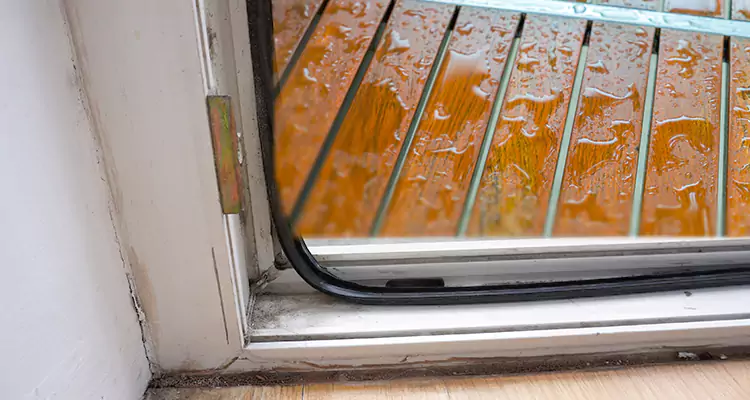 Water Leaking Wooden Patio Doors Repair in Egypt Lake-Leto, FL