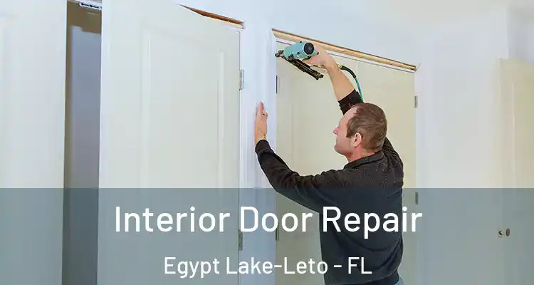  Interior Door Repair Egypt Lake-Leto - FL