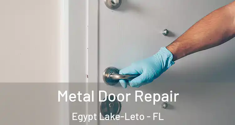  Metal Door Repair Egypt Lake-Leto - FL