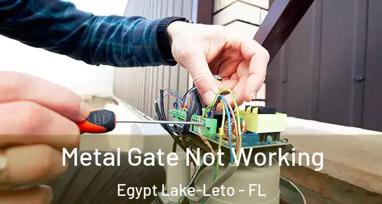  Metal Gate Not Working Egypt Lake-Leto - FL