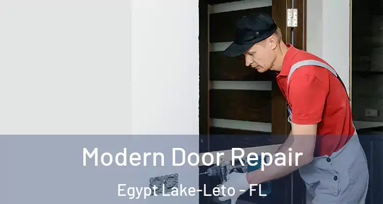  Modern Door Repair Egypt Lake-Leto - FL