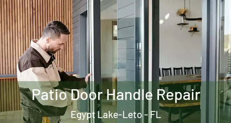  Patio Door Handle Repair Egypt Lake-Leto - FL
