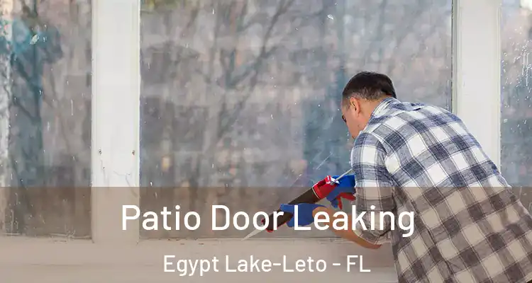  Patio Door Leaking Egypt Lake-Leto - FL