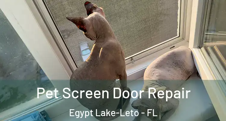  Pet Screen Door Repair Egypt Lake-Leto - FL