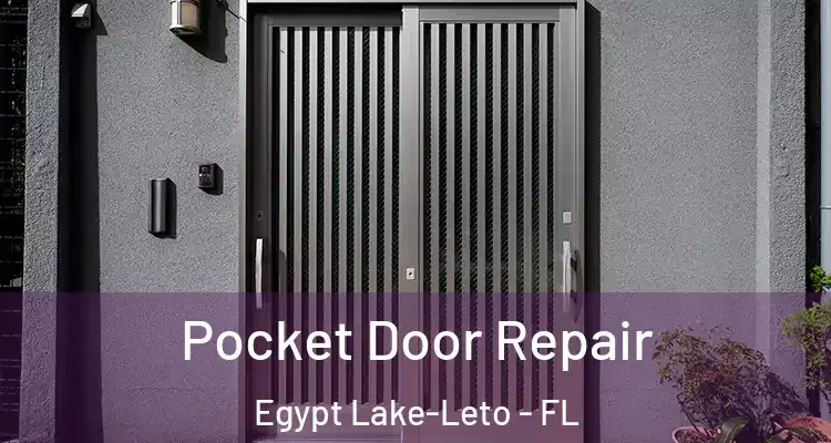  Pocket Door Repair Egypt Lake-Leto - FL