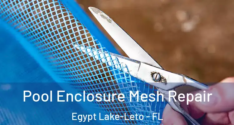  Pool Enclosure Mesh Repair Egypt Lake-Leto - FL