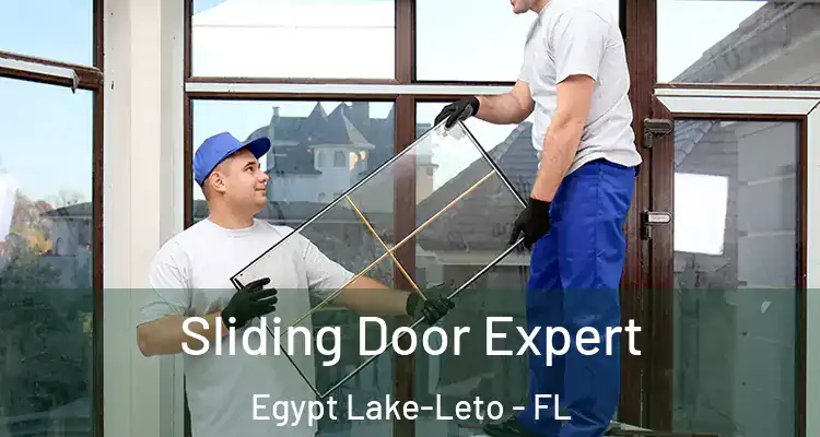  Sliding Door Expert Egypt Lake-Leto - FL