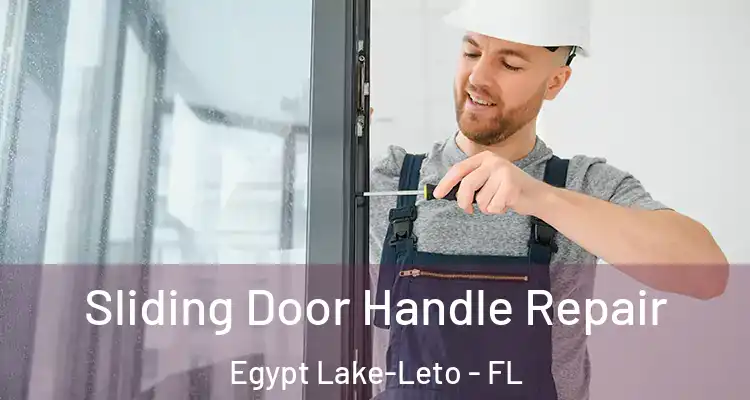  Sliding Door Handle Repair Egypt Lake-Leto - FL