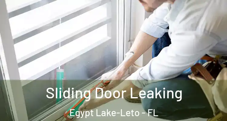  Sliding Door Leaking Egypt Lake-Leto - FL