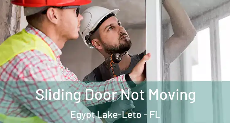  Sliding Door Not Moving Egypt Lake-Leto - FL