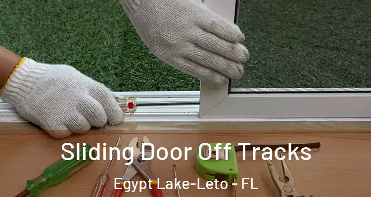  Sliding Door Off Tracks Egypt Lake-Leto - FL