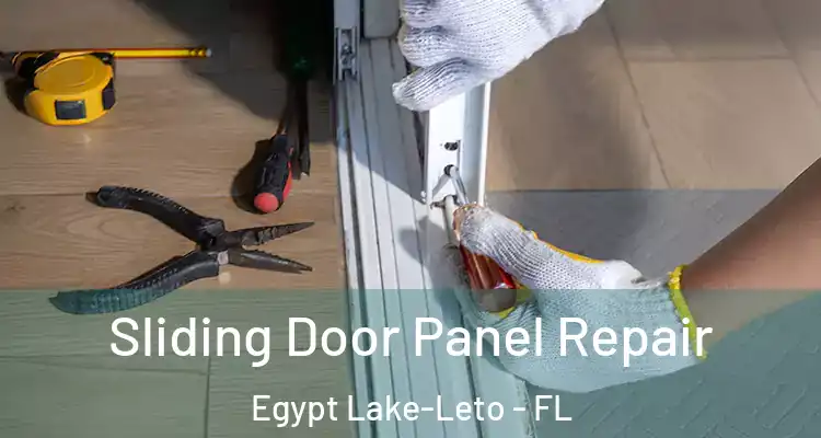  Sliding Door Panel Repair Egypt Lake-Leto - FL