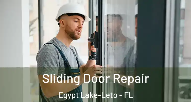  Sliding Door Repair Egypt Lake-Leto - FL