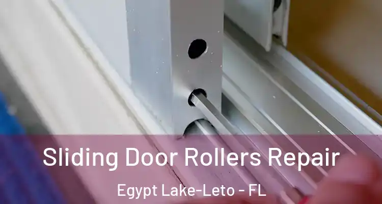 Sliding Door Rollers Repair Egypt Lake-Leto - FL