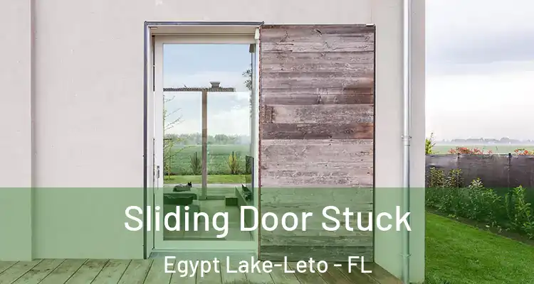  Sliding Door Stuck Egypt Lake-Leto - FL