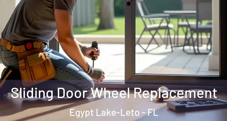  Sliding Door Wheel Replacement Egypt Lake-Leto - FL