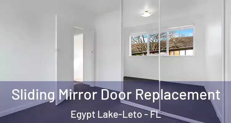  Sliding Mirror Door Replacement Egypt Lake-Leto - FL