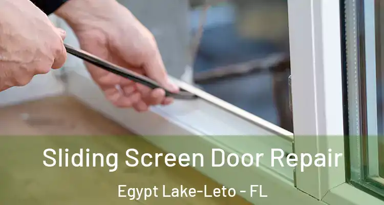  Sliding Screen Door Repair Egypt Lake-Leto - FL